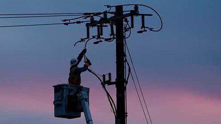 জুড়ীর ফুলতলা চা বাগান শ্রমিকদের বিদ্যুতের দুর্ভোগ নিরসন