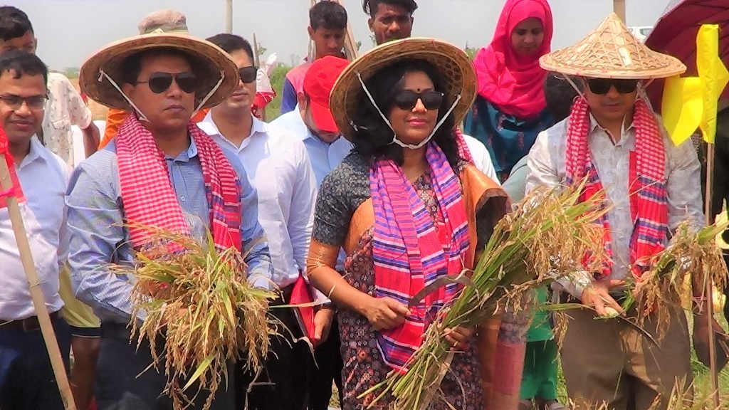 ধান কর্তনের উদ্বোধন করেন  জেলা প্রশাসক উর্মি বিনতে সালাম