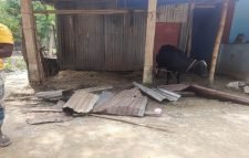 রাজনগরে হাঁসে ধান নষ্ট করা নিয়ে মারামারি, নারীর মৃত্যু!