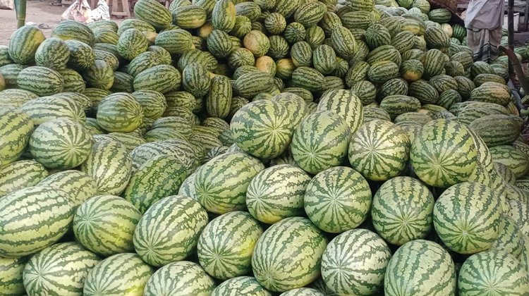 তীব্র গরম এবং রমজানের কারণে তরমুজের ৩শ’ টাকা থেকে ৫শ’ টাকা দরে বিক্রি হচ্ছে