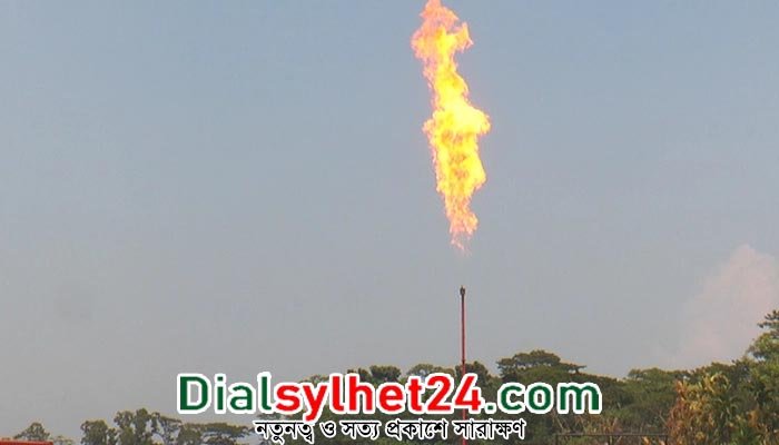 ২৯তম গ্যাসক্ষেত্র হচ্ছে ভোলার ইলিশা