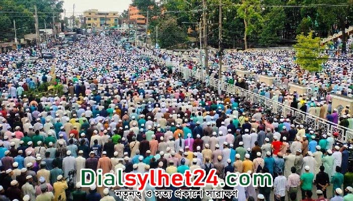 মুহিব্বুল হক গাছবাড়ির দাফন সম্পন্ন