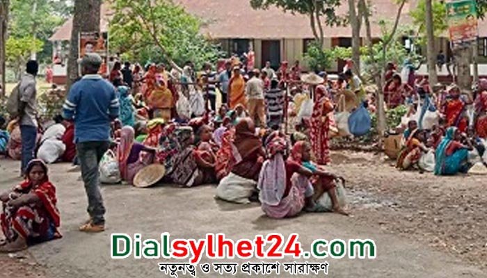 পাত্রখোলা চা বাগানে শ্রমিকদের ধর্মঘট