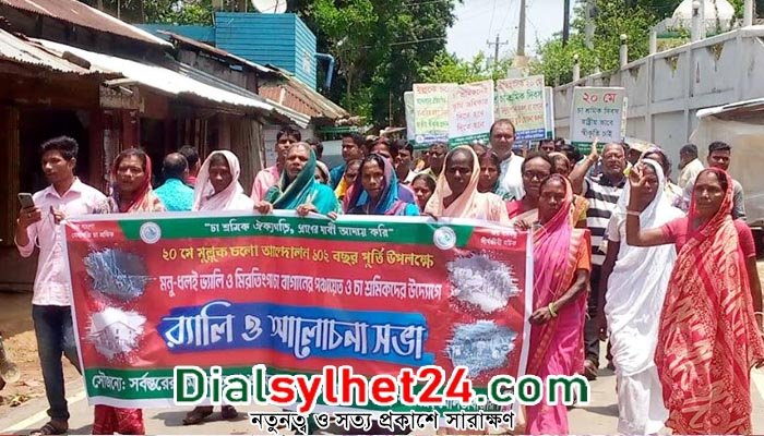 কমলগঞ্জের মিরতিংগা চা বাগানে চা শ্রমিক দিবস পালিত