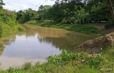 বিষ দিয়ে জুড়ী নদীতে মৎস্য নিধনের অভিযোগ