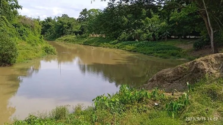 বিষ দিয়ে জুড়ী নদীতে মৎস্য নিধনের অভিযোগ