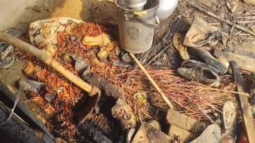 কমলগঞ্জে দুষ্কৃতিকারীদের আগুনে ভস্মিভূত রবিদাস সম্প্রদায়ের বসতঘর