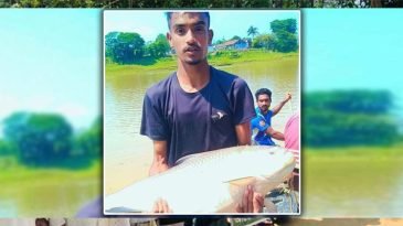 কুশিয়ারায় ঢলের পানিতে ধরা পড়ছে বড় বড় কাতলা