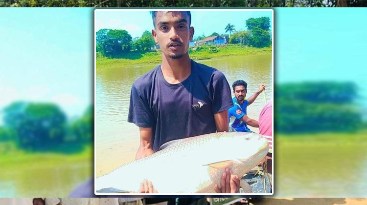 কুশিয়ারায় ঢলের পানিতে ধরা পড়ছে বড় বড় কাতলা