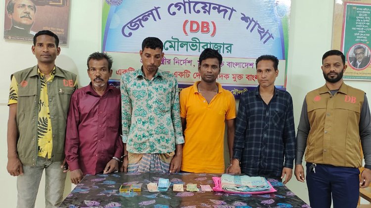 কমলগঞ্জে জুয়ার আসরে ডিবির অভিযান, জুয়ার সরঞ্জাম ও নগদ টাকা সহ ৪ জুয়ারি আটক