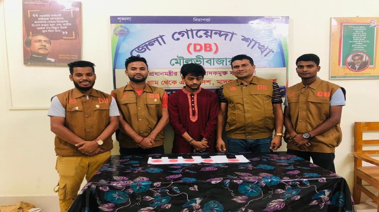 ডিবির অভিযানে ১০০৫ পিস ইয়াবাসহ আটক