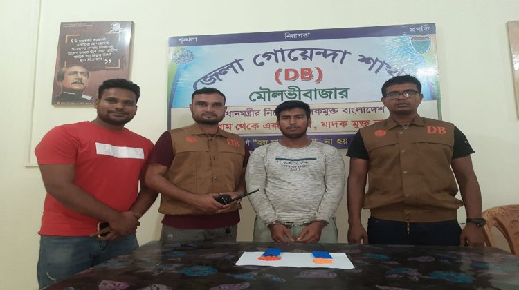 ডিবির অভিযানে ২২৫ পিস ইয়াবাসহ আটক ১