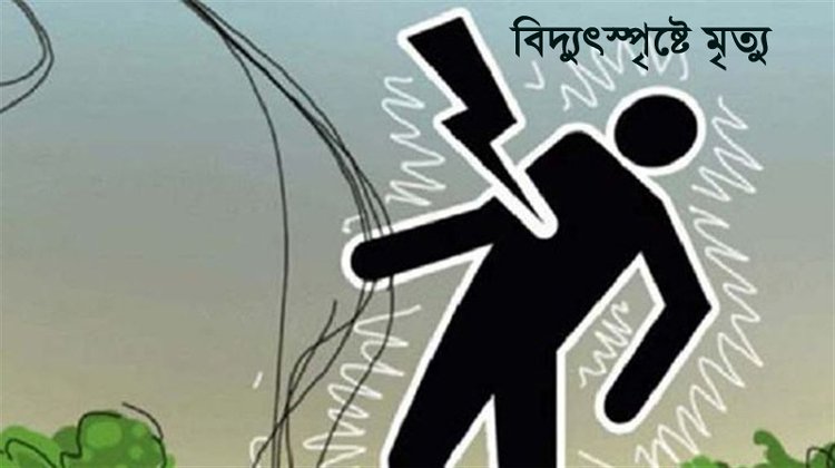 লাউয়াছড়ায় ঘাস কাটতে গিয়ে চা শ্রমিকের মৃত্যু