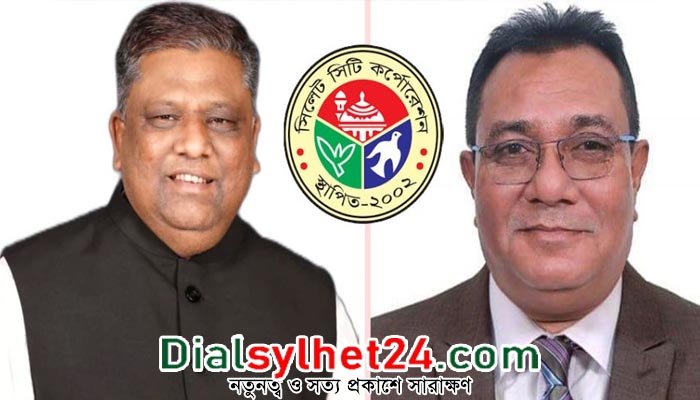 সিলেটে যত ভোট পেলো নৌকা-লাঙ্গল