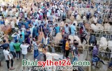 ৪৫টি কোরবানির পশুর হাট বসবে সিলেট নগরীতে