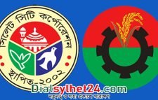 ভোটেও জিততে পারলেন না বিএনপির বহিষ্কৃত ২৫ নেতা