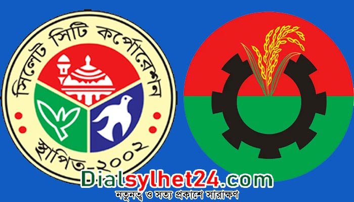 ভোটেও জিততে পারলেন না বিএনপির বহিষ্কৃত ২৫ নেতা