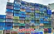 শুধু আম পরিবহনেই প্লাস্টিকের ক্যারেট বিক্রি হয় ৯২২ কোটি টাকার