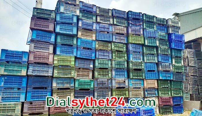 শুধু আম পরিবহনেই প্লাস্টিকের ক্যারেট বিক্রি হয় ৯২২ কোটি টাকার