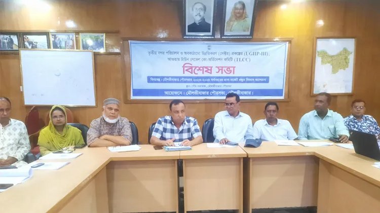 টাউন লেভেল কো-অর্ডিনেশন কমিটির সভা অনুষ্ঠিত