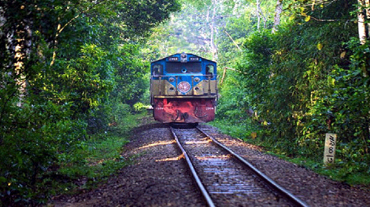 লাউয়াছড়া উদ্যানের সড়ক ও রেলপথের সরানোর উদ্যোগে ভাটা