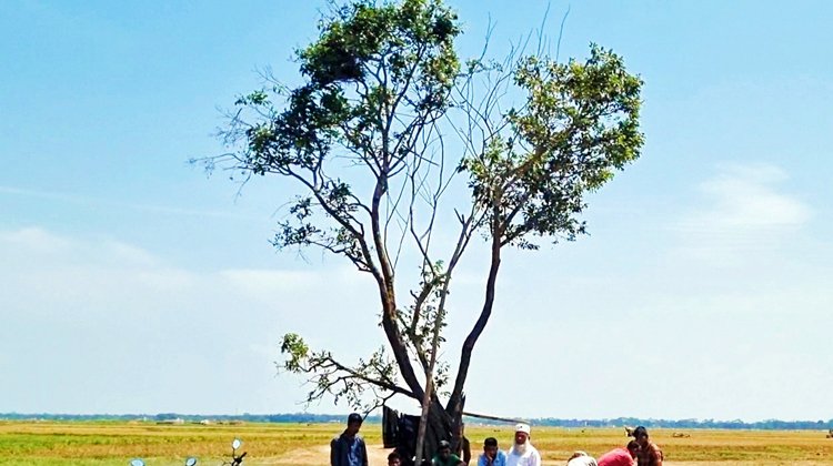 হাকালুকির বুকে একখণ্ড স্বস্তি!