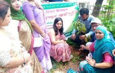 সবুজ আন্দোলনের উদ্যোগে বিশ্ব পরিবেশ দিবস পালিত