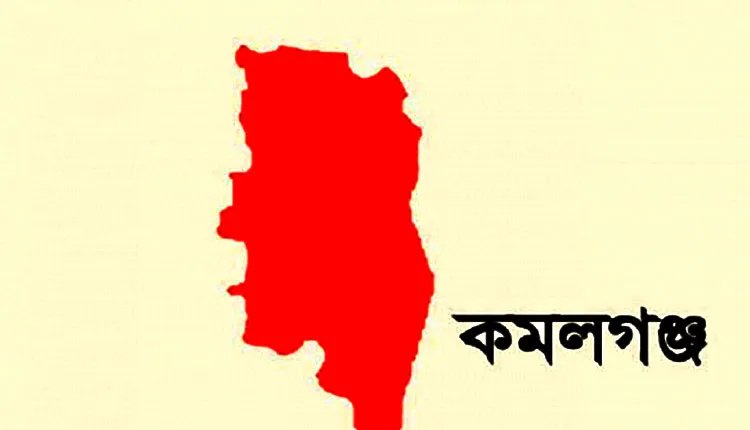 কমলগঞ্জে রোহিঙ্গা আটক