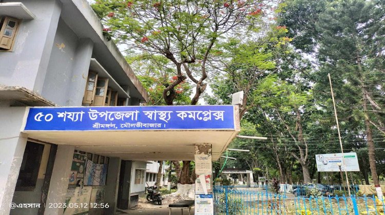 শ্রীমঙ্গলে কুকুরের কামড়ে একদিনে ২০-২৫ জন আহত