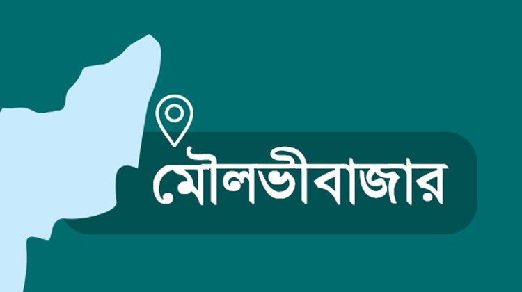 দুই বছরে আটক ১০১জন রোহিঙ্গা মৌলভীবাজার সীমান্ত রোহিঙ্গা পাচারের নিরাপদ রুট