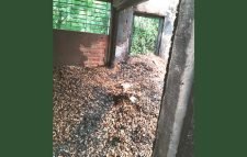 বড়লেখায় আগর-আতরের কারখানায় দুর্বৃত্তের আগুন : ১৫ লক্ষাধিক টাকার ক্ষতি