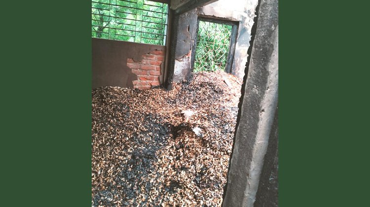 বড়লেখায় আগর-আতরের কারখানায় দুর্বৃত্তের আগুন : ১৫ লক্ষাধিক টাকার ক্ষতি