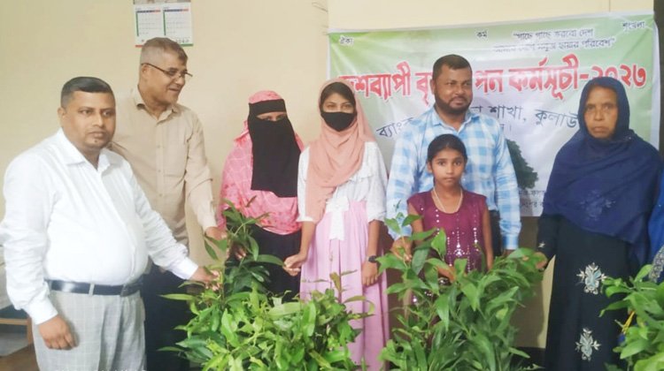 কুলাউড়ায় গ্রামীণ ব্যাংকের গাছের চারা বিতরণ