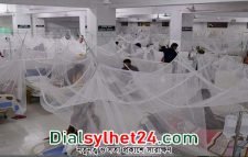 ডেঙ্গু আক্রান্ত হয়ে তিনজনের মৃত্যু, হাসপাতালে ভর্তি ২৭০