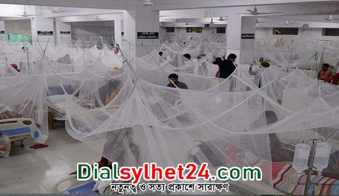 ডেঙ্গু আক্রান্ত হয়ে তিনজনের মৃত্যু, হাসপাতালে ভর্তি ২৭০