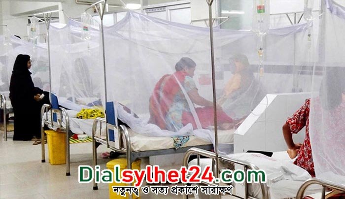 ডেঙ্গুতে ১১ জনের মৃত্যু, হাসপাতালে ভর্তি ২২৪২