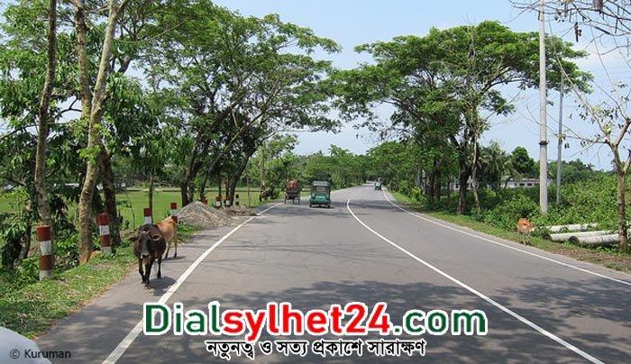 দুর্ঘটনার কবলে সিলেটের নতুন মেয়র ও কাউন্সিলরদের গাড়িবহর