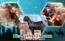ঈদে সিলেটসহ সারা দেশে ১ কোটি ৪১ হাজার পশু কোরবানি