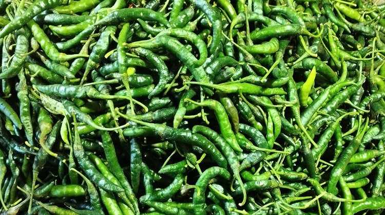 একদিনের ব্যবধানে কাঁচামরিচের দাম নেমেছে অর্ধেকে