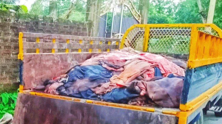 কুলাউড়ায় চামড়া নিয়ে মাদ্রাসা-এতিমখানায় দুশ্চিন্তা