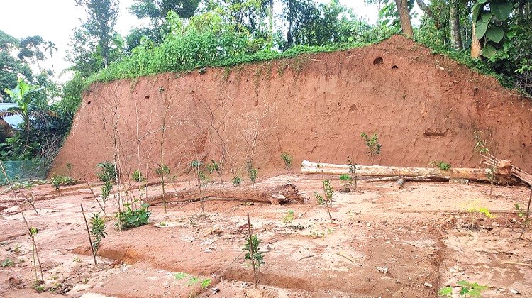 জুড়ীতে কয়েকদিন পর পর চলে টিলাকাটার মহোৎসব: টিলা কেটে মাল্টা বাগান!