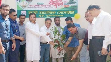 জুড়ীতে এক হাজার চারা রোপণ কার্যক্রমের উদ্বোধন