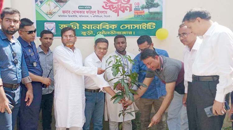 জুড়ীতে এক হাজার চারা রোপণ কার্যক্রমের উদ্বোধন