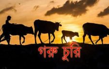 একরাতে কৃষকের দুই গরু চুরি