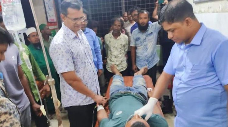 শ্রীমঙ্গলে সাপের প্রাদুর্ভাব বেড়েছে, আহত হলে অ্যান্টিভেনম নেয়ার পরামর্শ