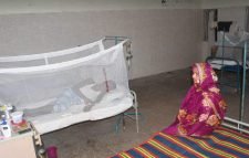 মৌলভীবাজার জেলায় ডেঙ্গু আক্রান্ত ৫ জন