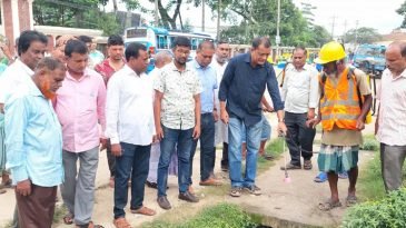 শ্রীমঙ্গল পৌরসভা মশক নিধন কার্যক্রম শুরু করেছে