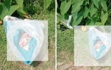 রাজনগরে পলিথিনে মোড়ানো নবজাতকের লাশ উদ্ধার