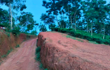 শ্রীমঙ্গলে পর্যটকদের মন কাড়ছে অপার্থিব মুগ্ধতা ছড়ানো ‍‍`লাল টিলা‍‍`