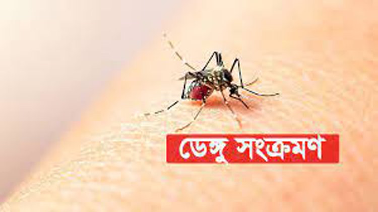 মৌলভীবাজার জেলায় ২ জন ডেঙ্গু রোগী শনাক্ত